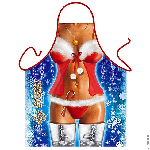 Sexy Xmas Ladies Rude Santa Novelty Apron